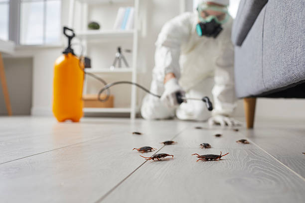 Post-Treatment Bed Bug Interceptor Monitoring in Arbutus