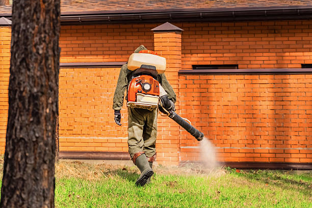 Bed Bug Clearance Verification and Documentation in Arbutus